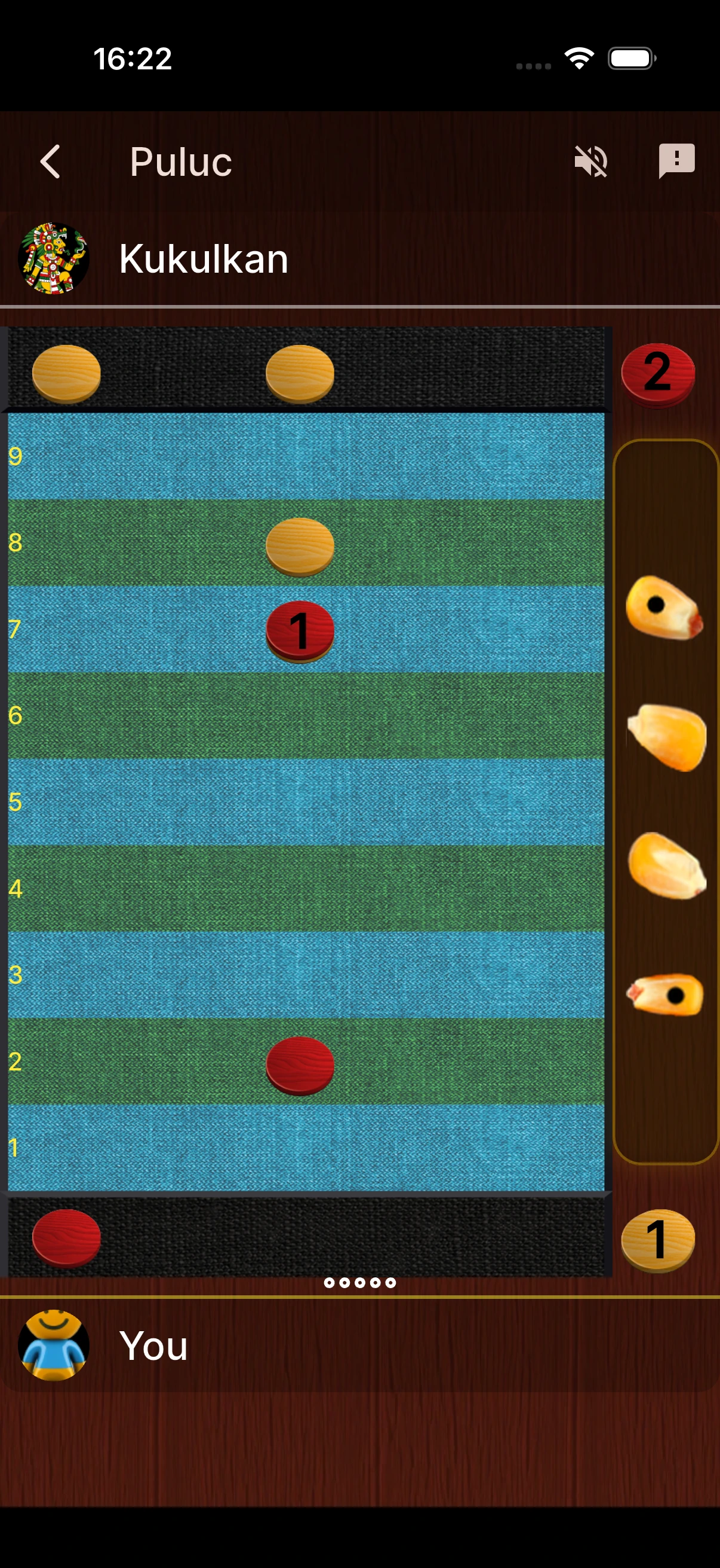 Puluc Screenshot 2